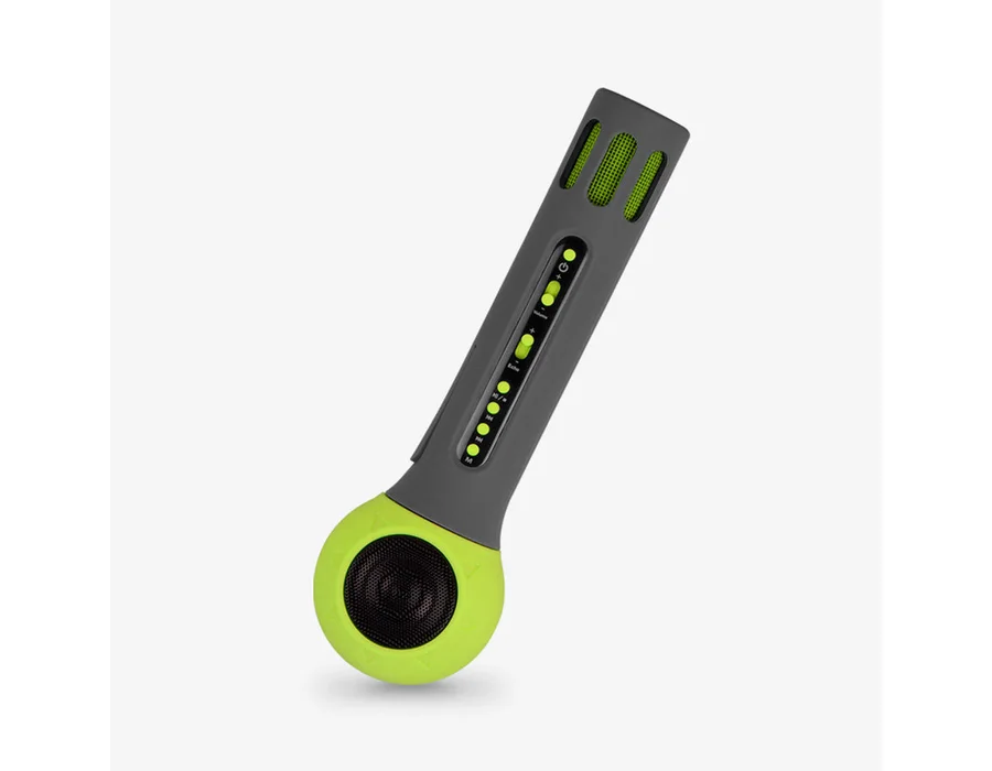 Zebronics Fun Wireless Karaoke Mic Speaker — Green
