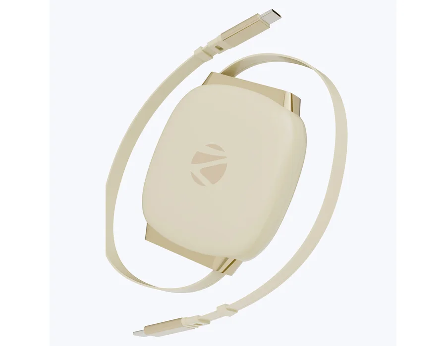 Zebronics WATTZ 100RCC1 Type C to Type C 100W Cable — Gold